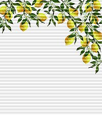 [Translate to Französisch:] Dessin Limone rechts