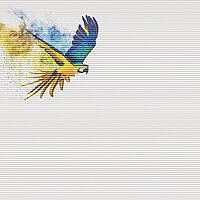 Wabenplissee mit farbenfrohem Ara-Motiv im Flug aus der Kollektion Spirit of Modern Living