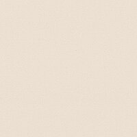 Nahaufnahme einer beige-farbenen Soft-Touch-Lamelle der VELVET METAL Kollektion mit dezentem Glimmereffekt – ideal für elegante Innenjalousien.