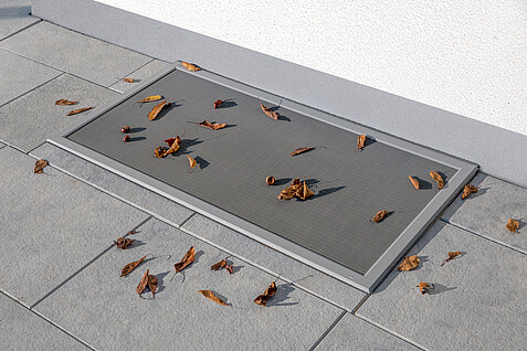 Lichtschachtabdeckung mit herabgefallenen Blättern vor einer Hauswand.