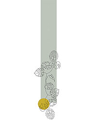 Grafisches Pflanzenmotiv auf pastellgrünem Streifen mit gelbem Akzent – Design Tessa für Rollos