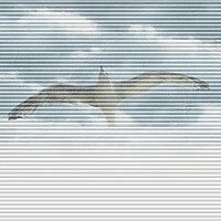 Wabenplissee mit Möwenmotiv vor wolkigem Himmel aus der Kollektion Spirit of Modern Living