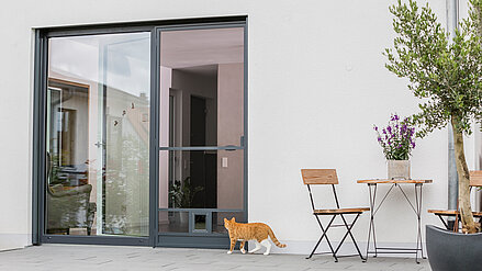 [Translate to Französisch:] MHZ Insektenschutz mit Katzenklappe