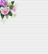 [Translate to Französisch:] Dessin Rosy links klein