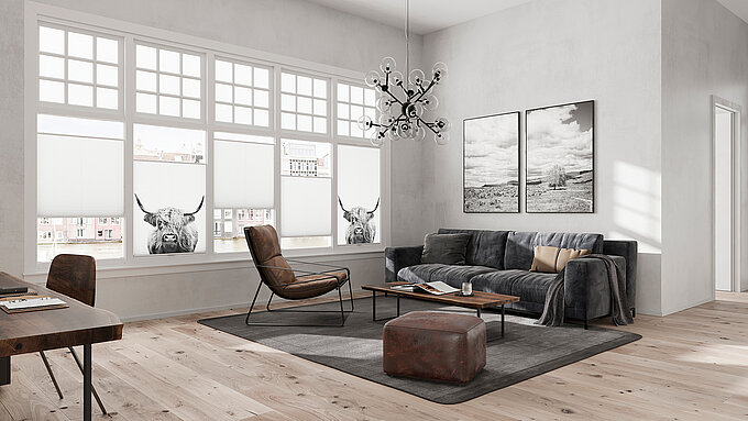 Wohnzimmer mit MHZ Duette® Wabenplissees im Tiermotiv-Design „Russell“ mit Highland-Kühen.