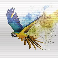 Wabenplissee mit grossflächigem Ara in Flugbewegung und farbintensivem Hintergrund aus der Kollektion Spirit of Modern Living