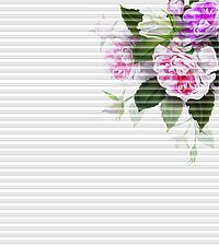 [Translate to Französisch:] Dessin Rosy rechts gross