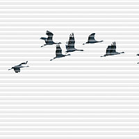 Weisses Plissee mit dunklen Kranichsilhouetten in Flugformation, naturinspiriertes Design