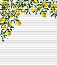 [Translate to Französisch:] Dessin Limone links