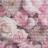 Plissee mit detailreichem Blumenmotiv in Rosa- und Cremetönen, romantisches Design