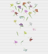 [Translate to Französisch:] Dessin Tulipa klein