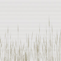 Wabenplissee mit beigem Gräsermotiv am unteren Rand auf weissem Grund aus der Kollektion Spirit of Modern Living