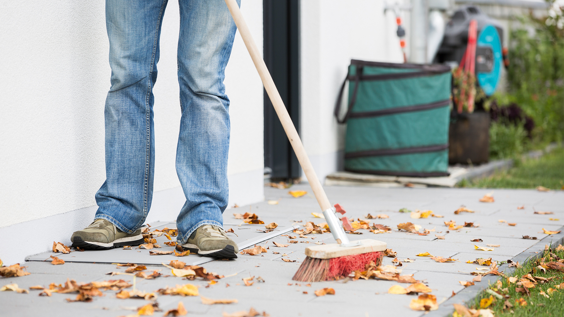 [Translate to Französisch:] MHZ Insektenschutz Lichtschacht Lisa
